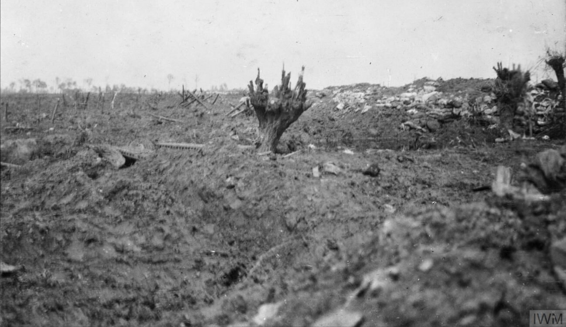 No-man’s land, Battle of Festubert, showing the effect of bombardment on wire in front of the German trenches. Festubert, May 1915